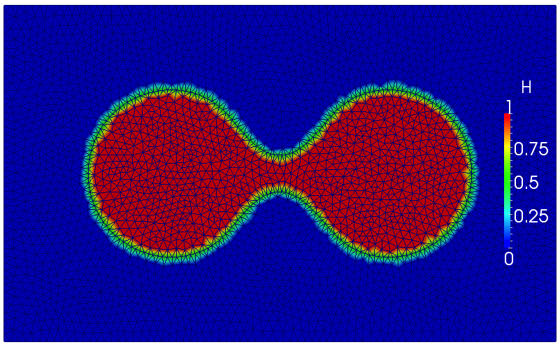 Model of coalesced bubbles