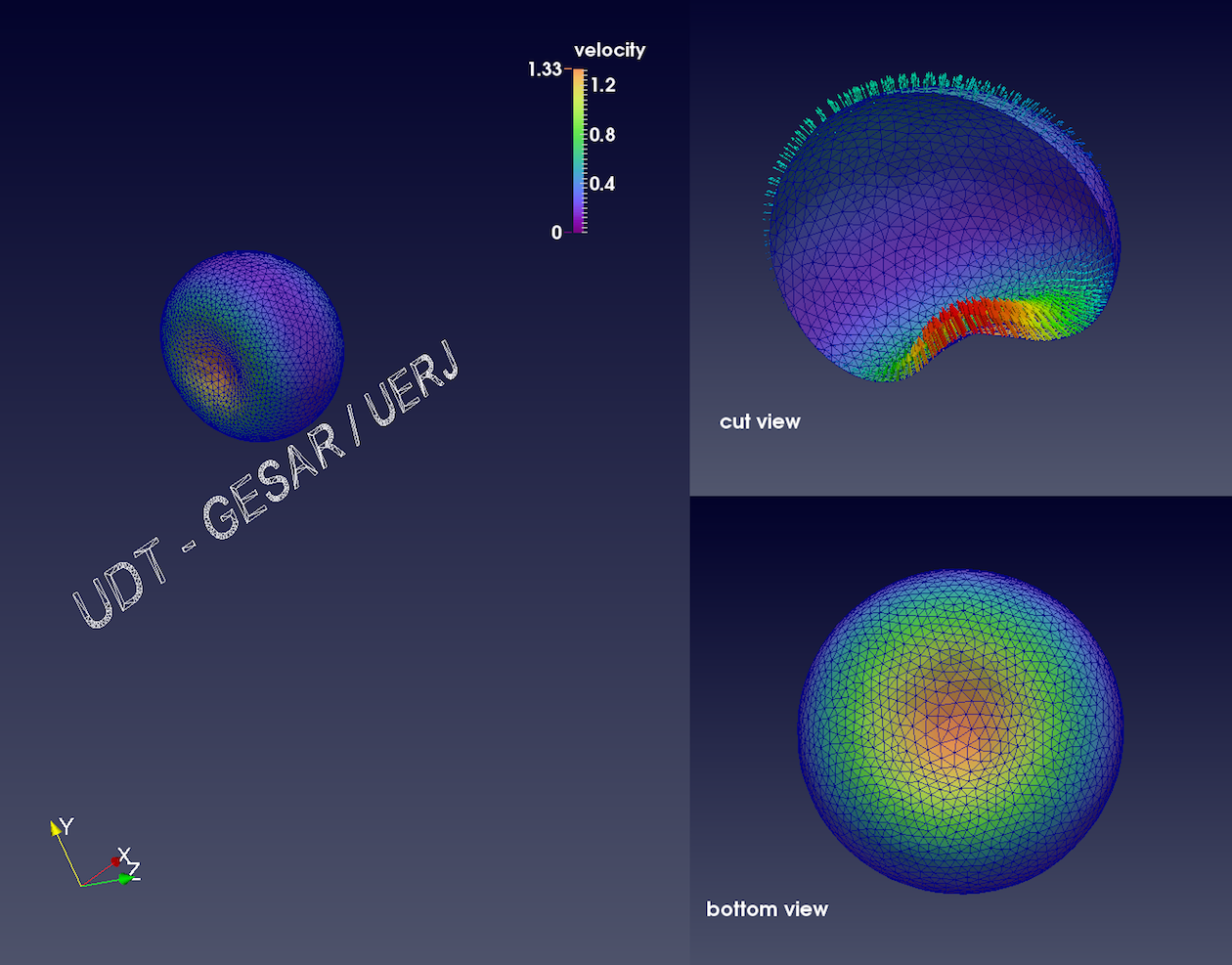 Rising bubble dynamics